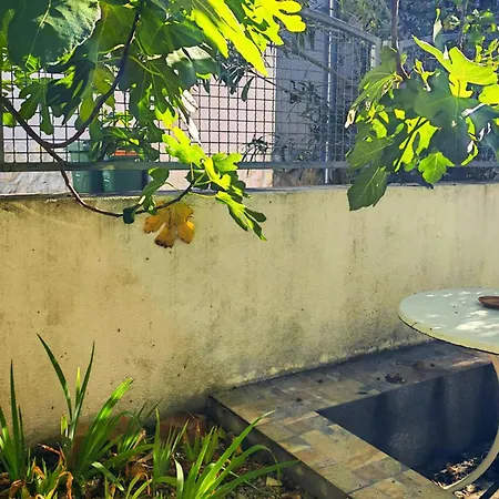 1 Bedroom Pet Friendly In Appartement *