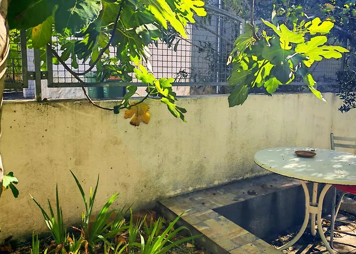 1 Bedroom Pet Friendly In 公寓 *